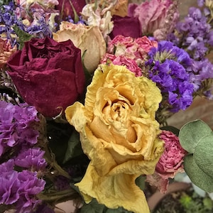 so much colour!