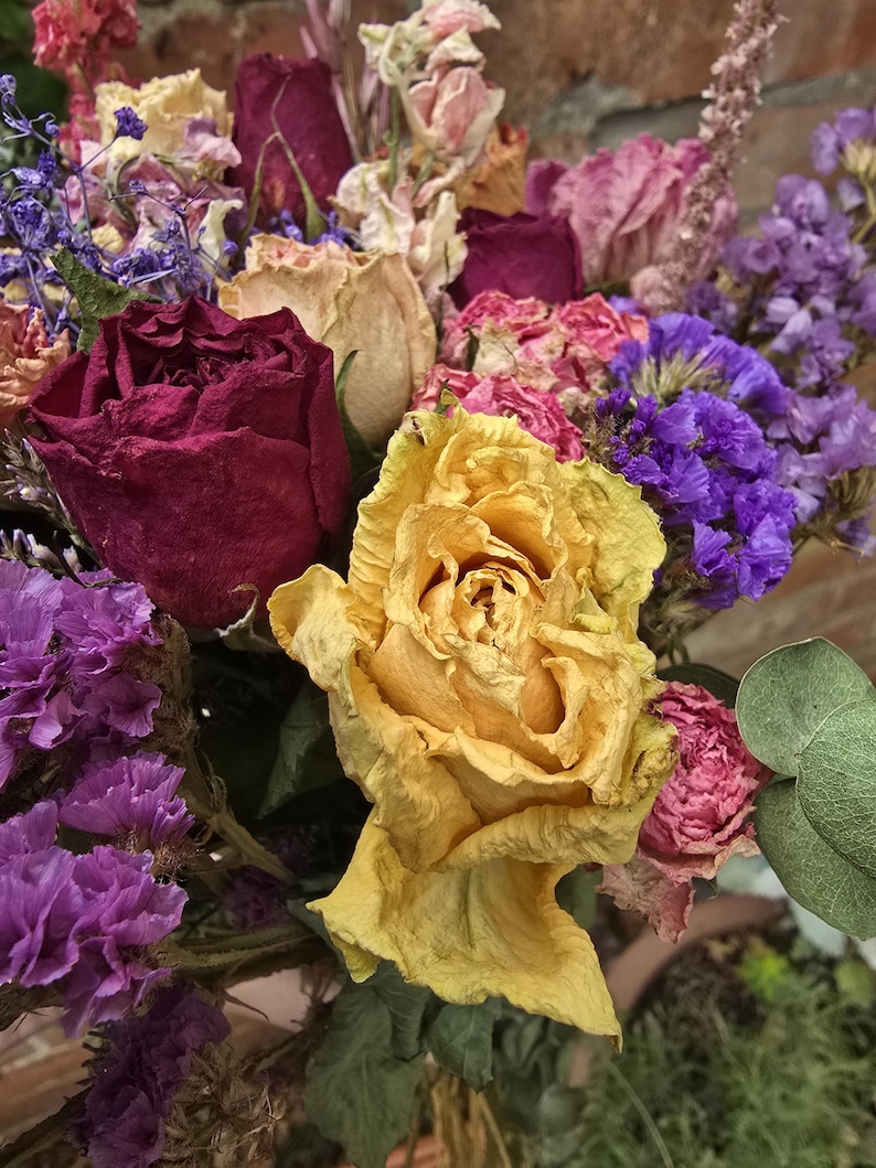 so much colour!