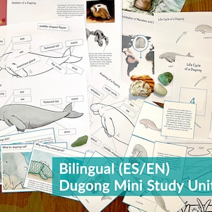 Dugong Unit Study Montessori Bilingue Summer Printables Cycle de vie d'un dugong Nature Study Marine Study Homeschool
