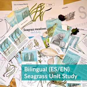 Unidad de praderas de pastos marinos estudio bilingüe inspirado en Montessori imprimible digital en español e inglés para el aula o la educación en el hogar