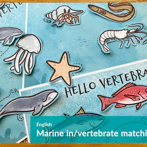 Marine Vertebrate and Invertebrate Matching Game Educational Sorting Activity Homeschool Printable Ocean Learning Resources Busy Book Pages