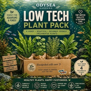 May include: A cardboard box containing four green freshwater plants, labeled Odysea Gardens Low Tech Plant Pack. The box features text including 4 Hardy, Beautiful, Beginner Friendly Freshwater Plants, Handpicked with care, and Healthy Plants, Happy Customers, with various icons and a small fish illustration.