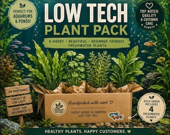 May include: A cardboard box containing four green freshwater plants, labeled Odysea Gardens Low Tech Plant Pack. The box features text including 4 Hardy, Beautiful, Beginner Friendly Freshwater Plants, Handpicked with care, and Healthy Plants, Happy Customers, with various icons and a small fish illustration.