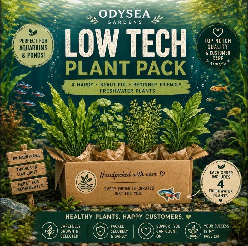 May include: A cardboard box containing four green freshwater plants, labeled Odysea Gardens Low Tech Plant Pack. The box features text including 4 Hardy, Beautiful, Beginner Friendly Freshwater Plants, Handpicked with care, and Healthy Plants, Happy Customers, with various icons and a small fish illustration.