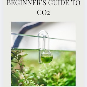 Anfängerleitfaden für CO2 in Ihrem Pflanzenaquarium PDF, wie Sie Aquariumstipps für lebende Süßwasserpflanzen führen