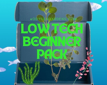 Low Tech Beginner Plant Pack! 4 different Live freshwater aquarium plants