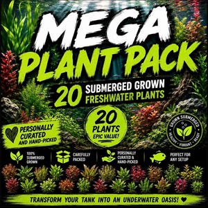 May include: A collection of 20 submerged freshwater plants labeled Mega Plant Pack. The graphic features text including 20 Submerged Grown Freshwater Plants, Personally Curated and Hand-Picked, and Transform Your Tank Into An Underwater Oasis.
