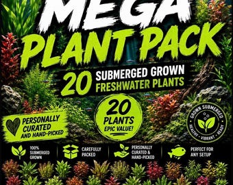 May include: A collection of 20 submerged freshwater plants labeled Mega Plant Pack. The graphic features text including 20 Submerged Grown Freshwater Plants, Personally Curated and Hand-Picked, and Transform Your Tank Into An Underwater Oasis.