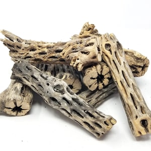 Cholla Wood submerged live freshwater aquarium decor