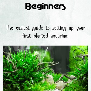 May include: Book cover titled "Planted Tanks for Beginners" with text: "The easiest guide to setting up your first planted aquarium." The image shows a planted aquarium with green plants, rocks, and driftwood. The author is Dallas Frentz.
