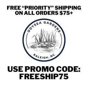 May include: A circular logo for Odysea Gardens in Raleigh, NC, featuring a black and white line drawing of water lilies and tall grasses. The text reads Odysea Gardens and Raleigh, NC. The image also includes text about shipping and a promo code.