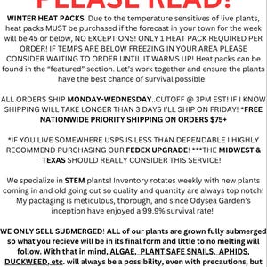 May include: A white informational sign with black and red text detailing plant shipping policies, winter heat pack requirements for temperatures below 45 degrees, shipping schedules, FedEx upgrade recommendations, and plant care information.