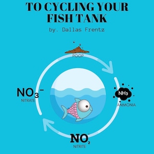 Anfängerleitfaden zum Radfahren Ihres Fishtank PDF, wie Sie Aquariumtipps führen, die lebende Süßwasserpflanzen beraten