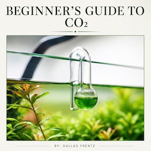 Beginner’s Guide to Co2 in your planted aquarium PDF how to guide aquarium tips consulting live freshwater plants