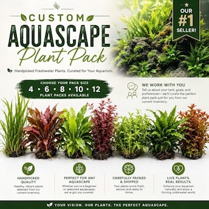 Custom Aquascape Plant Pack! Submerged Live freshwater aquarium plants image 1