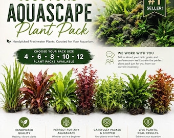 Custom Aquascape Plant Pack! Submerged Live freshwater aquarium plants