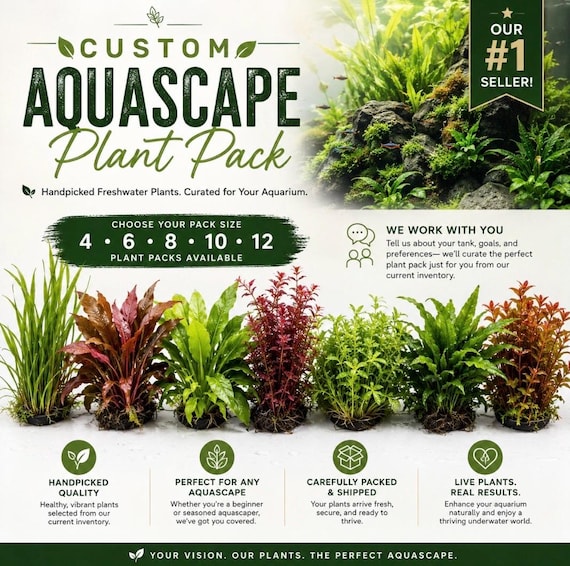 Custom Aquascape Plant Pack! Submerged Live freshwater aquarium plants