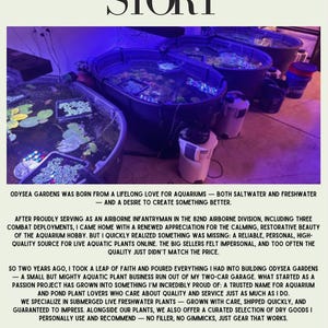 May include: Three large black oval plastic tubs filled with water and aquatic plants, illuminated by blue and white LED lights. White canister filters are connected to the tubs. The text "OUR STORY" appears at the top, followed by paragraphs.