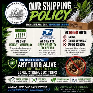 May include: An informational graphic for Odysea Gardens detailing a shipping policy for live plants. It features text, icons, and images of plants in boxes, explaining that shipments occur Monday through Wednesday using USPS Priority mail services.