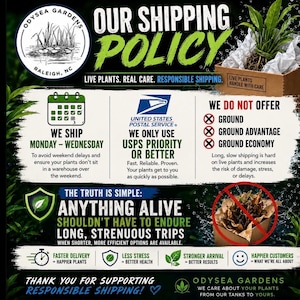 May include: An informational graphic for Odysea Gardens detailing a shipping policy for live plants. It features text about shipping days, USPS priority services, and a list of excluded ground shipping methods, alongside icons and plant imagery.