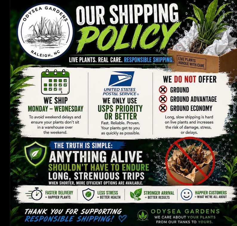 May include: An informational graphic for Odysea Gardens detailing a shipping policy for live plants. It features text about shipping days, USPS priority services, and a list of excluded ground shipping methods, alongside icons and plant imagery.