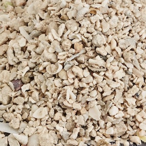 May include: Close-up of a pile of small, irregularly shaped pieces of light beige and off-white material. The pieces appear to be a mix of shells, coral, and small stones, creating a textured, natural appearance. The overall color palette is neutral, with variations in tone.