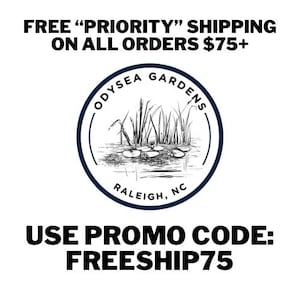 May include: A circular logo for Odysea Gardens in Raleigh, NC, featuring a black and white line drawing of water lilies and tall grasses. The text reads Odysea Gardens and Raleigh, NC. The image also includes text about shipping and a promo code.
