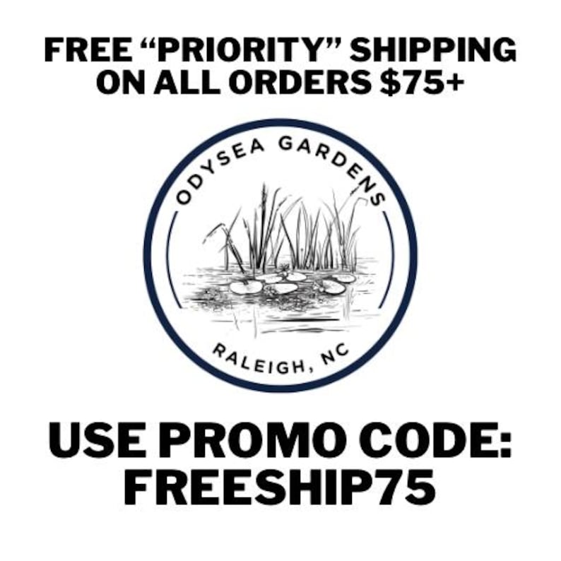 May include: A circular logo for Odysea Gardens in Raleigh, NC, featuring a black and white line drawing of water lilies and tall grasses. The text reads Odysea Gardens and Raleigh, NC. The image also includes text about shipping and a promo code.