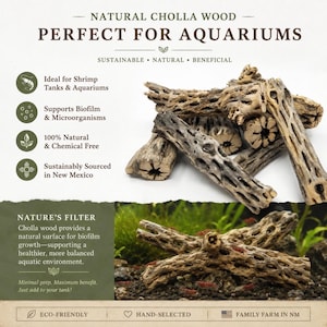 May include: Natural Cholla wood pieces with a hollow, porous, and cylindrical structure. The light brown wood features a distinct lattice-like texture. Text on the image includes Natural Cholla Wood, Perfect for Aquariums, and Nature's Filter.