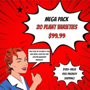 MEGA PACK! 20 Plant Varieties Freshwater Submerged Live aquarium plants