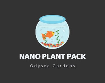 Nano Plant Pack! Submerged Live aquarium plants