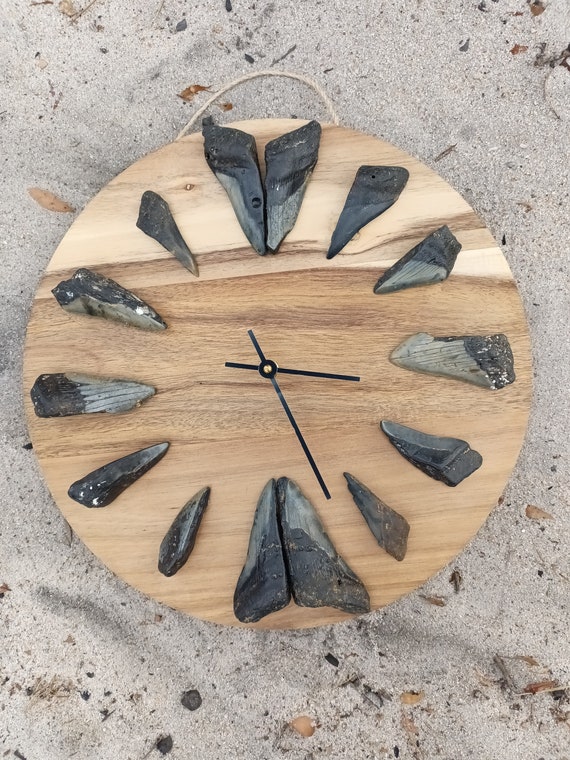 Megalodon Tooth Wall Clock - Working Clock with REAL Megalodon teeth fragments