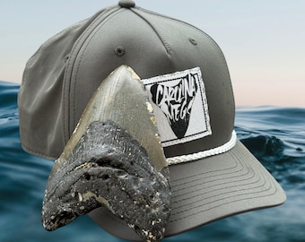 Carolina Megs Snapback Hat - One Size Fits All