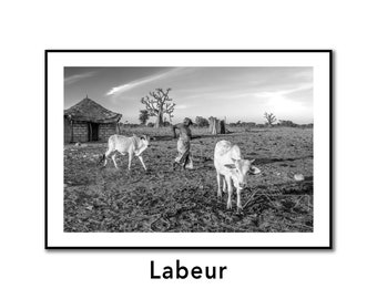 Senegal "Labeur" - Signed and numbered print