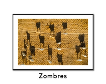 Senegal "Zombres" - Signed and numbered print
