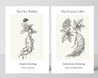 Botanical Ginseng Art Print: Black and White Medicinal Herb Illustration (Digital Download)