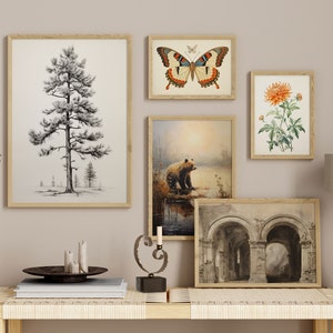 Set of 5 Eclectic Vintage Antique Art Prints | Tree Flowers Arches Bear Butterfly l Digital Art Gallery Wall | Instant Download