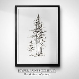 May include: Black and white line drawing of three pine trees in a minimalist style. The trees are drawn with fine lines and are set against a white background. The image is framed in a black frame. The text "JOYFUL PRINTS COMPANY the sketch collection" is printed below the image.