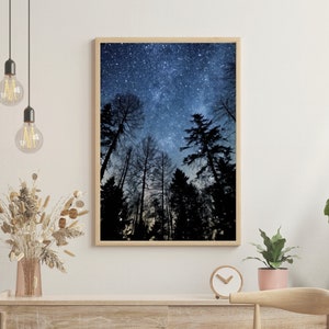 Starry Sky Night Time Nighttime Stars Forest | Digital Art Print | High Contrast Color | Instant Download