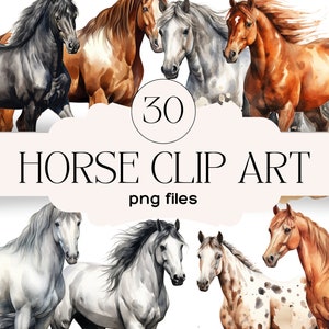 Mega Bundle of 30 Horse Clip Art PNG Files | Instant Download | Digital Clipart