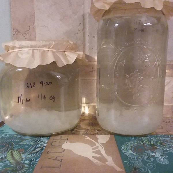 Live Water Kefir Grains Organic Culture FREE SHIPPING 1/4 or 1/2 cup