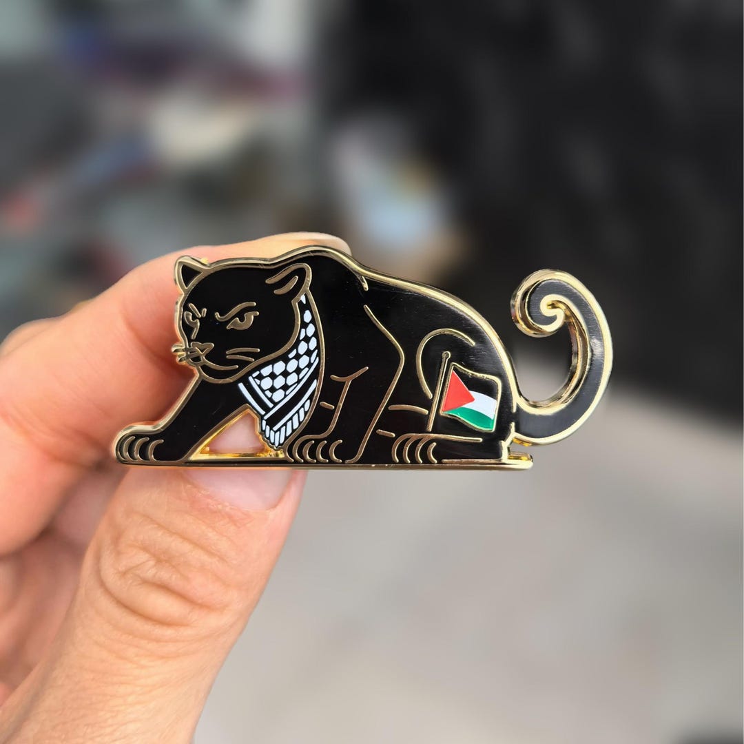 Black Panther of Unity – Enamel Pin - Etsy