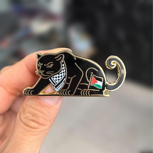 May include: A black panther enamel pin with gold trim. The panther wears a black and white checkered scarf and holds a small flag with red, white, green, and black colors. The pin is a decorative accessory.