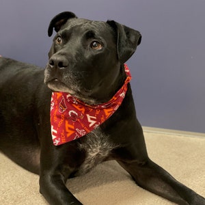 Virginia Tech Elastic Dog Bandana and Scrunchie