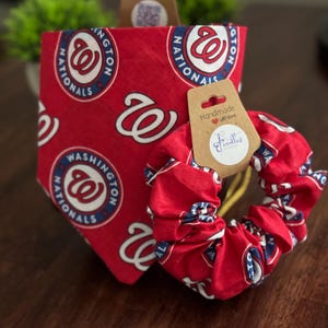 Washington Nationals Elastic Dog Bandana and Scrunchie