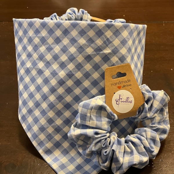 Blue Gingham Elastic Dog Bandana and Scrunchie