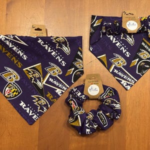 Purple Baltimore Ravens Elastic Dog Bandana and Scrunchie