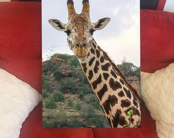 Giraffe Portrait Canvas Art, Kenya Safari Photography, Animal Wall Decor (20x30)