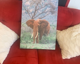 Impression sur toile éléphant d'Afrique, photographie de safari au Kenya, art mural (20 x 30)