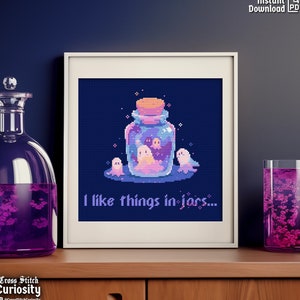 Pdf-kruissteekpatroon "I like things in Jars" Spirit Bottle Cross Stitch Chart Easy Cross Stitch Instant Download pdf Pattern Keeper